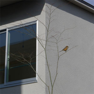 新年最初の現場打合せ　庭づくり、造園計画の打ち合わせを行いました